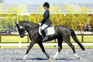 improving the upper body position for horse riders