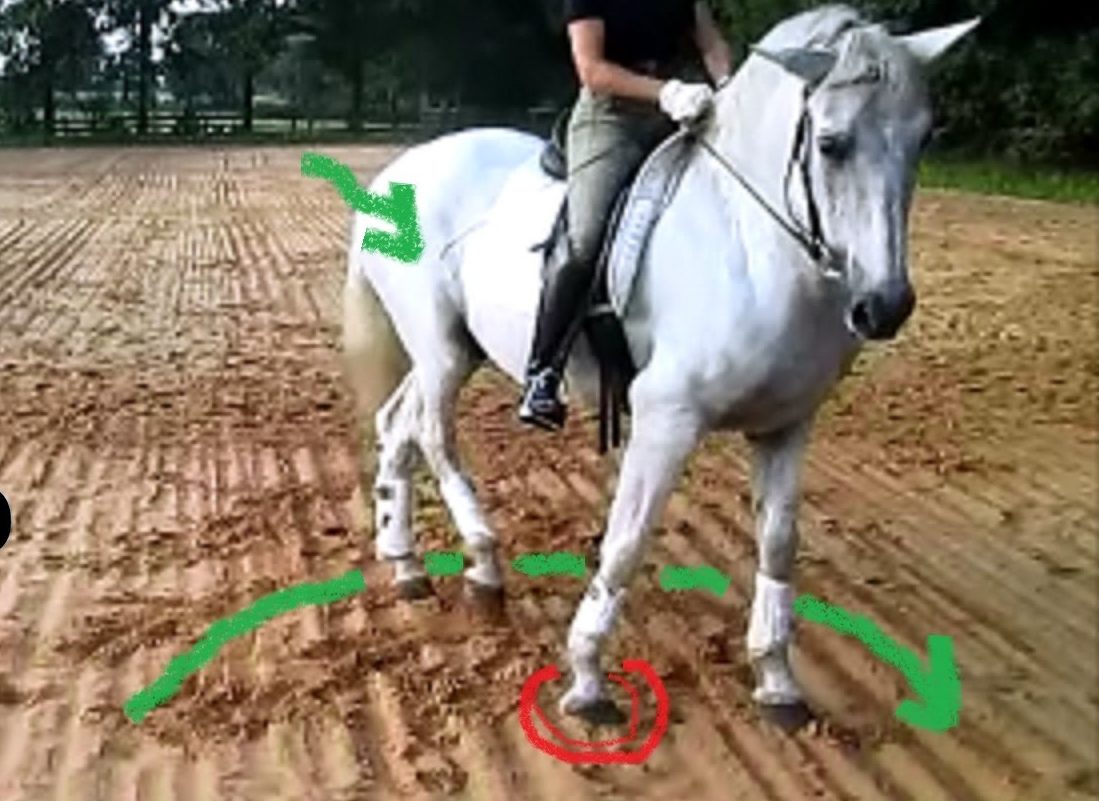 IN THIS COURSE...